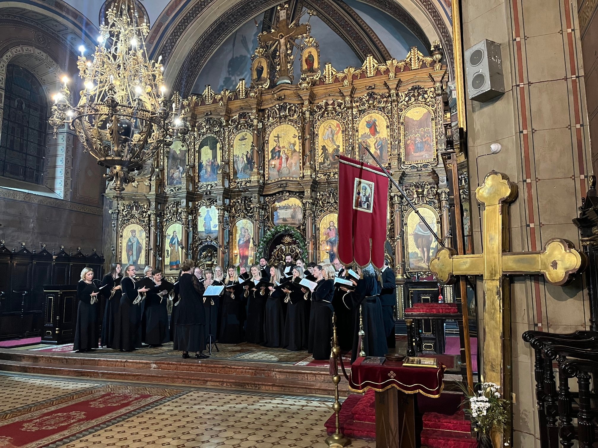 vule zuric promocija u pancevu